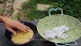 农村老师傅教了一招育豆芽，生长速度太快了，天天吃不完