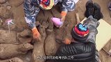 山东青州特大发现，考古挖出亚醜钺，专家：商朝贵族专用！