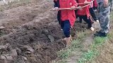 这种活动应该多整几次，让他们知道粮食得来的不易