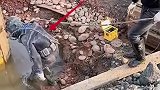 这种工作，亲妈都靠不住