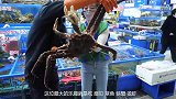 韩国美女购买10斤重帝王蟹，一口咬下去，表情简直没眼看！