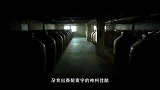 酒厂探秘：从杂粮酒到五粮液