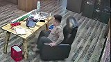这椅子不能好好坐吗
