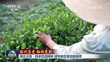 铭记历史 缅怀先烈