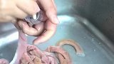 清理肥肠用一个矿泉水瓶就能搞定，生活中实用的窍门！