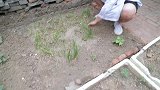 搞笑短剧前男友借元救急，老公不但要借钱还得感谢，这是什么逻辑