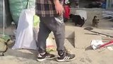 出门卖废品没想到有狗了！网友：就这样水灵灵地被换走了