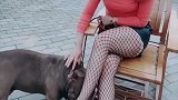 这么温柔的女子养这宠物，这风格很像网纹袜的气质