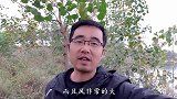 大风天用七星漂钓下风口，鱼口真不错