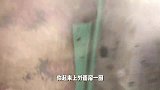 凌晨4点体验神仙生活？一杯“琼浆”直呼好喝，爷俩密探屯里作坊