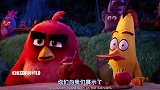 愤怒的小鸟：所有鸟都在欢呼，他们不知道，猪猪想偷他们的蛋！
