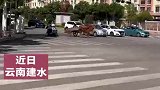 老人驾着牛在路口等红灯，牛和老人都知道等红等