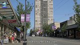 终于知道为啥有的猫离家出走就再也不回来了，原因令人意外，心疼