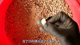 2500美元的泥土能提炼多少金子？老外亲测，结果意想不到！