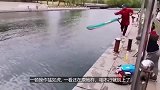 一顿操作猛如虎,一看还在原地杵