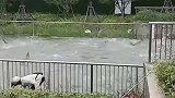 小鱼全都跳出水面，群众感到十分神奇