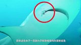 为了帮助鲨鱼取下鱼钩，女子冒险把手伸进鲨鱼口中，原因让人反思