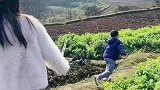 本来是让孩子有个童年，没想到帮自己回忆童年了