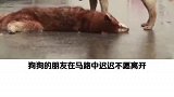 这是友谊的见证。