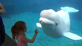小宝宝去看海豚，可爱的海豚故意扮凶，宝宝被吓得掉头就跑