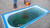 岩浆烤肉有多美味？小哥大胆一试，结果馋得流口水！