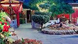 来丽江旅行住在这样的院子，好安逸。