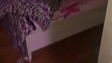 女子回家发现床被霸占了，大哥，大嫂回来了