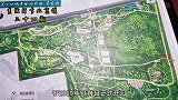 北京公园一片粉色花田 成为新的打卡圣地 今日一见确实养眼
