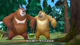 熊出没：强哥杠上大狗熊，竟然搬出全部家当在森林野营！