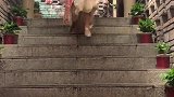 最近霸屏的姑娘，打开手机总能看到她，这才是灵魂舞者！