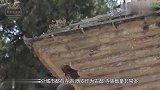 陕西有一座寺，是三藏长逝的地方，每逢节日香火盛旺