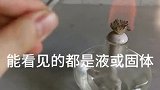 学生你还知道哪些看得见的气体