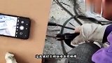 想当年这电脑，可是要穿鞋套才能参观的