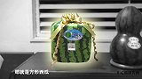 日本天价方形西瓜，一个就要3000元，怎么种出来的？