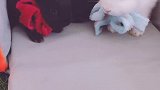 魏无羡和蓝忘叽这是……道友们