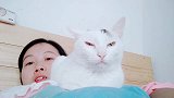 猫咪啊你能不能考虑一下铲屎官的感受，还以为自己小呢