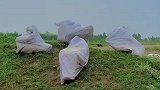 简直不敢相信是真的
