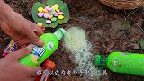 捕鱼技术哪家强？小伙挖出神秘地洞，鱼儿排队送上门！