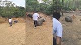 大哥你老想骑八戒，有考虑它的感受吗，当我是飞猪啊