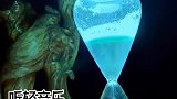 黑夜的尽头是黎明，熬过所有的苦，便会遇见所有的好