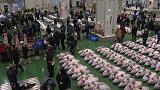 日本鱼王1280万拍得276公斤金枪鱼，称虽贵但客人要吃好