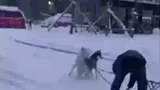 不愧是雪橇三傻之一,社会你哈哥，狗狠话不多