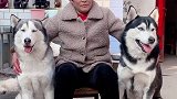 给大家拜年了 祝大家新年快乐 阖家幸福  牛年大吉新年祝福