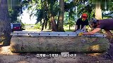 树木砍完后，伐木工都是怎么处理木料的