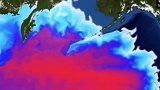 日本正式决定向海洋排放核废水 日本政府举行内阁会议，正式决定向海洋排放核废水。   关注