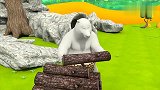 宝宝被大鸟抓走，机智逃脱，小猴前来相救
