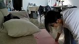小姐姐被猫咪绊倒，绿茶小猫当着男主人的面就开始演戏