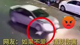 小车碾压小狗后逃离 狗 车