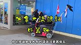 老外：加拿大的流浪汉也太嚣张了