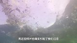 中国到底在海底拍到了什么？多国警告：必须停手！